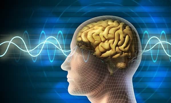 آتروفی مغز چیست؟ چه کسانی دچار عارضه کوچک شدن مغز میشوند؟