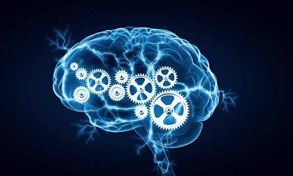 انواع دیگر آزمون هوش