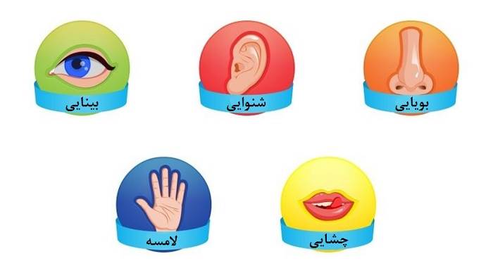 حواس هشت‌گانه